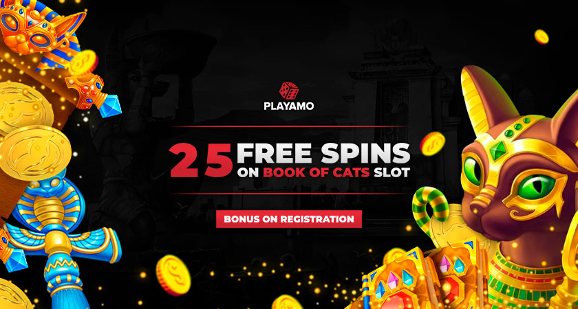 Playamo No Deposit Bonus